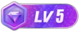 等级-LV5-紫星的菜单 - 仅收录精品的小站